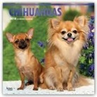Inc Browntrout Publishers, Browntrout Publishers (COR) - Chihuahuas 2018 Calendar