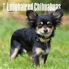 BrownTrout Publisher, Browntrout Publishers (COR) - Longhaired Chihuahuas 2018 Calendar