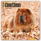 Browntrout Publishers (COR) - Chow Chows 2018 Calendar