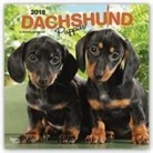 Browntrout Publishers (COR) - Dachshund Puppies 2018 Calendar