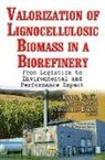 Venkatesh Balan, Rajeev Kumar, Seema Singh - Biomass Pretreatment & Conversion Processes