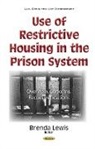 Brenda Lewis - Use of Restrictive Housing in the Prison System