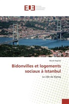 Murat Erginöz - Bidonvilles et logements sociaux à Istanbul