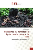 Bernard Caromel - Résistance au nématode à kyste chez la pomme de terre