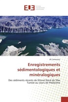 Ali Lamourou - Enregistrements sédimentologiques et minéralogiques