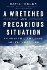 David Welky, Welky David - A Wretched and Precarious Situation