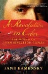 Jane Kamensky, Kamensky Jane - A Revolution in Color