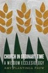 Amy Plantinga Pauw - Church in Ordinary Time