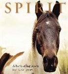 Anouska Jones, Anouska Jones - SPIRIT