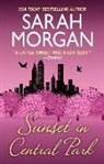 Sarah Morgan - Sunset in Central Park