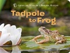 American Museum of Natural History, American Museum of Natural History (COR) - Tadpole to Frog