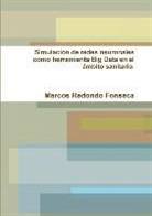 Marcos Redondo Fonseca - Simulación de redes neuronales como herramienta Big Data en el ámbito sanitario