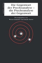 Werner Bohleber, Sibylle Drews - Die Gegenwart der Psychoanalyse, die Psychoanalyse der Gegenwart
