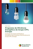 Odair Deters - Programa de Eficiência Energética do Grupo CPFL Energia
