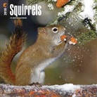 BrownTrout Publisher, Inc Browntrout Publishers, Browntrout Publishers (COR) - Squirrels 2018 Calendar