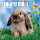 BrownTrout Publisher, Inc Browntrout Publishers, Browntrout Publishers (COR) - Lop Eared Rabbits 2018 Calendar