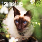 BrownTrout Publisher, Inc Browntrout Publishers, Browntrout Publishers (COR) - Siamese Cats 2018 Calendar