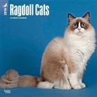 BrownTrout Publisher, Inc Browntrout Publishers, Browntrout Publishers (COR) - Ragdoll Cats 2018 Calendar