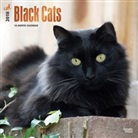 BrownTrout Publisher, Inc Browntrout Publishers, Browntrout Publishers (COR) - Black Cats 2018 Calendar