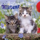 BrownTrout Publisher, Inc Browntrout Publishers, Browntrout Publishers (COR) - I Love Kittens 2018 Calendar