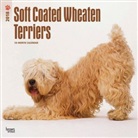 BrownTrout Publisher, Inc Browntrout Publishers, Browntrout Publishers (COR) - Soft Coated Wheaten Terriers 2018 Calendar