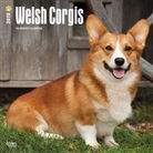 BrownTrout Publisher, Inc Browntrout Publishers, Browntrout Publishers (COR) - Welsh Corgis 2018 Calendar
