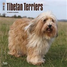 BrownTrout Publisher, Browntrout Publishers (COR) - Tibetan Terriers 2018 Calendar