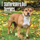 Browntrout, BrownTrout Publisher, Browntrout Publishers (COR) - Staffordshire Bull Terriers 2018 Calendar