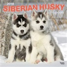 BrownTrout Publisher, Browntrout Publishers (COR) - Siberian Husky Puppies 2018 Calendar