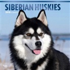 BrownTrout Publisher, Browntrout Publishers (COR) - Siberian Huskies 2018 Calendar