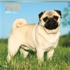 BrownTrout Publisher, Inc Browntrout Publishers, Browntrout Publishers (COR) - Pugs 2018 Calendar