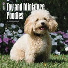 BrownTrout Publisher, Browntrout Publishers (COR) - Toy and Miniature Poodles 2018 Calendar