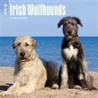 BrownTrout Publisher, Browntrout Publishers (COR) - Irish Wolfhounds 2018 Calendar