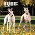 BrownTrout Publisher, Browntrout Publishers (COR) - Greyhounds 2018 Calendar