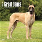 BrownTrout Publisher, Browntrout Publishers (COR) - Great Danes 2018 Calendar