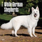 BrownTrout Publisher, Browntrout Publishers (COR) - White German Shepherds 2018 Calendar