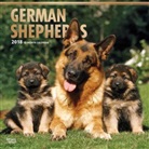 BrownTrout Publisher, Inc Browntrout Publishers, Browntrout Publishers (COR) - German Shepherds 2018 Calendar