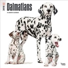 BrownTrout Publisher, Browntrout Publishers (COR) - Dalmatians 2018 Calendar
