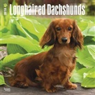 BrownTrout Publisher, Browntrout Publishers (COR) - Longhaired Dachshunds 2018 Calendar