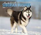 BrownTrout Publisher, Browntrout Publishers (COR) - For the Love of Pugs Siberian Huskies 2018 Calendar