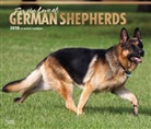 BrownTrout Publisher, Browntrout Publishers (COR) - For the Love of German Shepherds 2018 Calendar