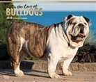 BrownTrout Publisher, Browntrout Publishers (COR) - For the Love of Bulldogs 2018 Calendar