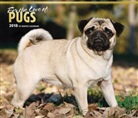 BrownTrout Publisher, Browntrout Publishers (COR) - For the Love of Pugs 2018 Calendar