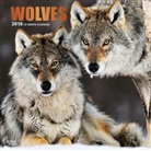 BrownTrout Publisher, Browntrout Publishers, Browntrout Publishers (COR) - Wolves 2018 Calendar