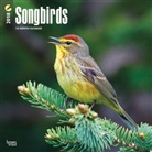 BrownTrout Publisher, Browntrout Publishers (COR) - Songbirds 2018 Calendar