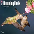 BrownTrout Publisher, Inc Browntrout Publishers, Browntrout Publishers (COR) - Hummingbirds 2018 Calendar
