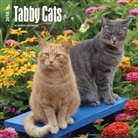 BrownTrout Publisher, Inc Browntrout Publishers, Browntrout Publishers (COR) - Tabby Cats 2018 Wall Calendar