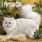 BrownTrout Publisher, Inc Browntrout Publishers, Browntrout Publishers (COR) - Persian Cats 2018 Calendar