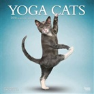 BrownTrout Publisher, Inc Browntrout Publishers, Browntrout Publishers (COR) - Yoga Cats 2018 Calendar