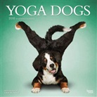 BrownTrout Publisher, Inc Browntrout Publishers, Browntrout Publishers (COR) - Yoga Dogs 2018 Calendar